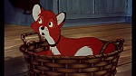 Image Fox and the Hound