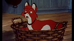 Image Fox and the Hound
