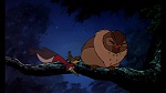 Image Fox and the Hound