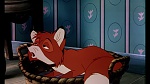 Fox and the Hound picture