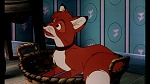 Image Fox and the Hound