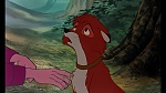 Image Fox and the Hound