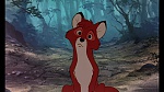 Image Fox and the Hound