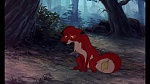 Fox and the Hound picture