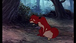 Fox and the Hound picture