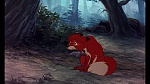 Image Fox and the Hound