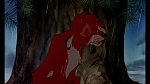 Image Fox and the Hound