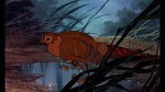 Image Fox and the Hound