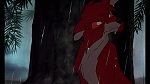 Image Fox and the Hound