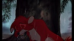 Image Fox and the Hound