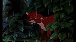 Image Fox and the Hound