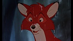 Image Fox and the Hound