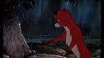 Image Fox and the Hound