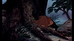 Image Fox and the Hound
