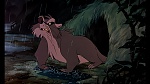 Fox and the Hound picture