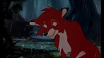 Fox and the Hound picture