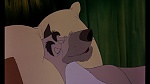 Image Fox and the Hound