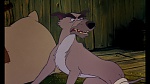 Image Fox and the Hound
