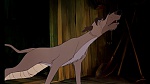 Fox and the Hound picture