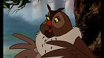 Image Fox and the Hound
