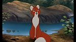 Fox and the Hound picture