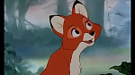 Image Fox and the Hound