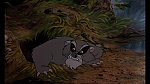 Fox and the Hound picture