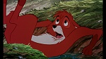 Image Fox and the Hound