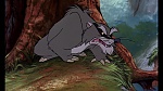 Image Fox and the Hound