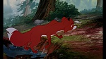 Image Fox and the Hound