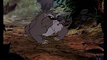 Image Fox and the Hound