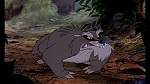 Image Fox and the Hound
