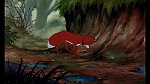 Image Fox and the Hound