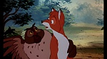 Image Fox and the Hound