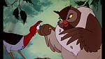 Image Fox and the Hound