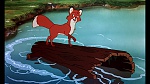 Fox and the Hound picture