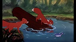 Fox and the Hound picture