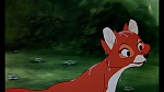 Image Fox and the Hound