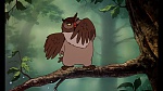 Image Fox and the Hound