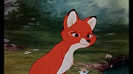 Fox and the Hound picture