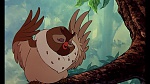 Image Fox and the Hound