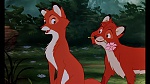 Image Fox and the Hound