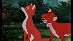 Image Fox and the Hound