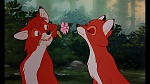Image Fox and the Hound