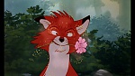Image Fox and the Hound
