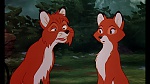Fox and the Hound picture