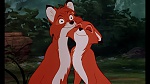 Image Fox and the Hound