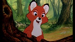 Image Fox and the Hound