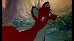 Image Fox and the Hound