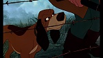 Image Fox and the Hound